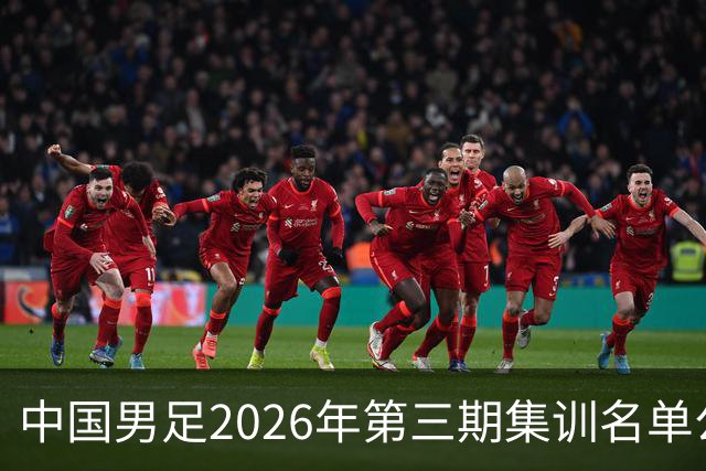 中国男足2026年第三期集训名单公布 武磊回归