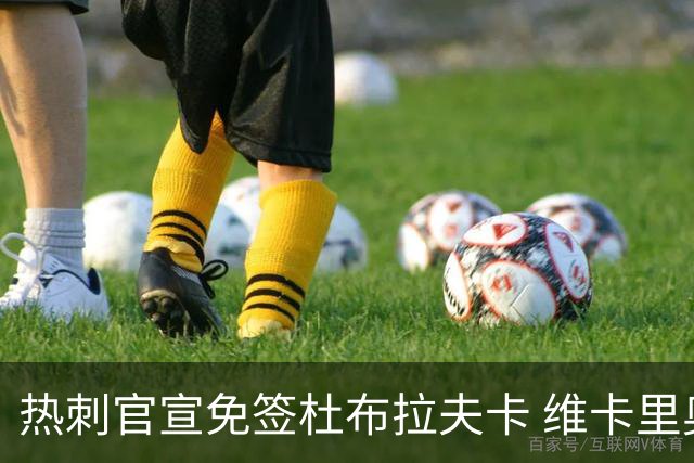 热刺官宣免签杜布拉夫卡 维卡里奥接近离队意甲双雄有意
