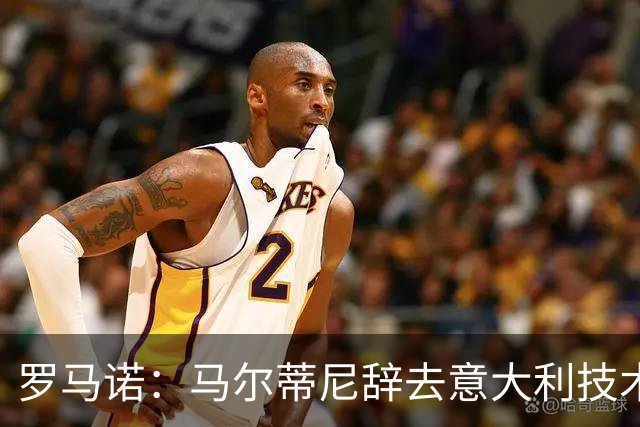 罗马诺：马尔蒂尼辞去意大利技术总监一职，莱昂纳多辞去顾问职务