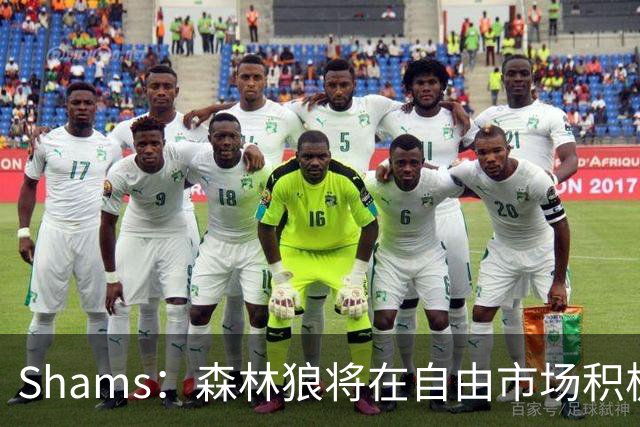 Shams：森林狼将在自由市场积极补强4号位 但他们只能提供底薪